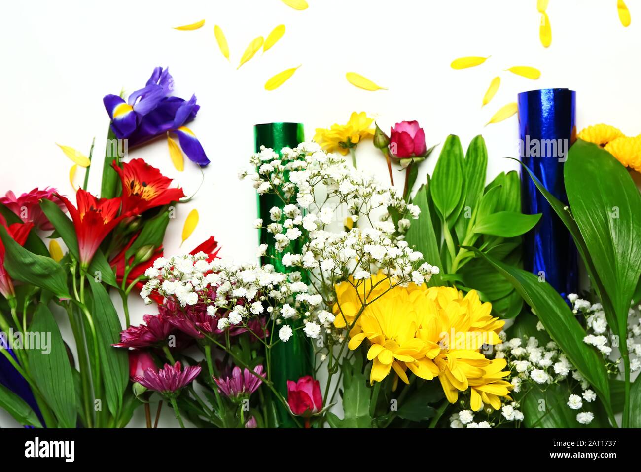 Beautiful fresh flowers on white background Stock Photo - Alamy