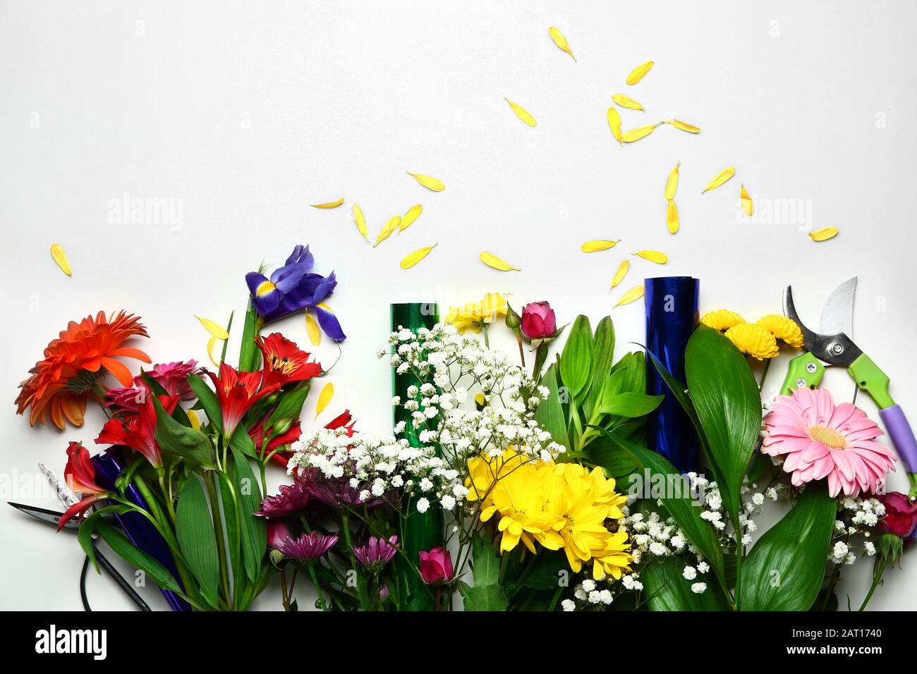 Beautiful fresh flowers on white background Stock Photo - Alamy