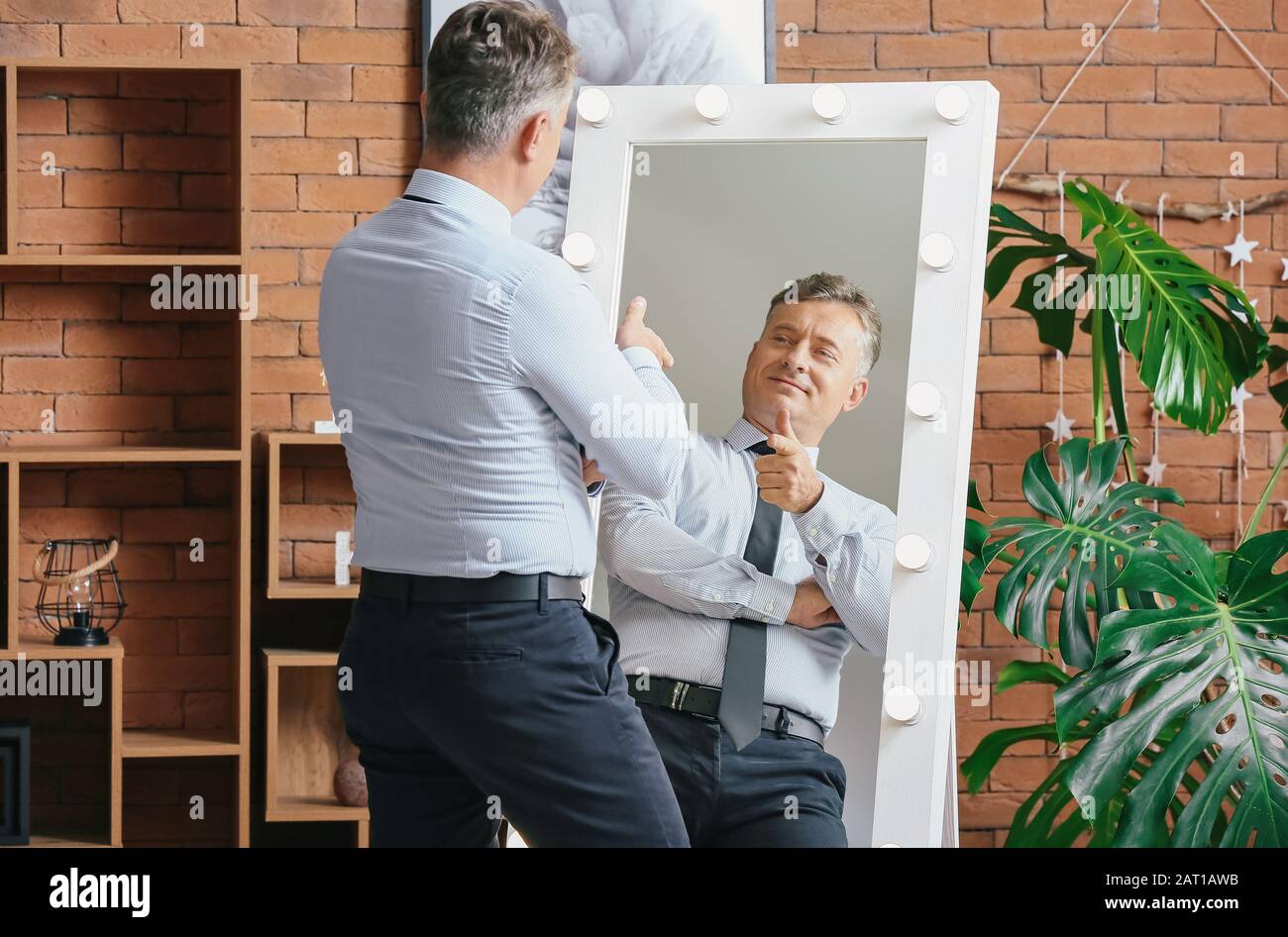 Handsome mature man looking at his reflection in mirror Handsome mature man looking at his reflection in mirror