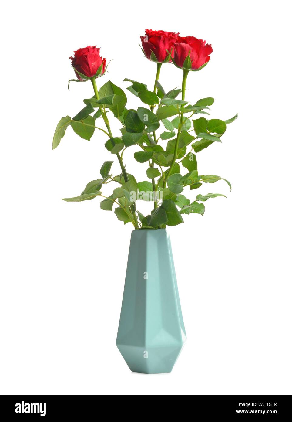 Vase with beautiful rose flowers on white background Stock Photo - Alamy