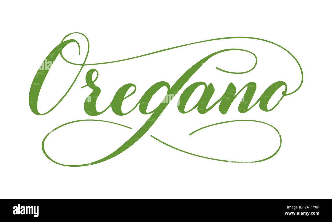 Oregano Vector Vectors High Resolution Stock Photography and Images Alamy