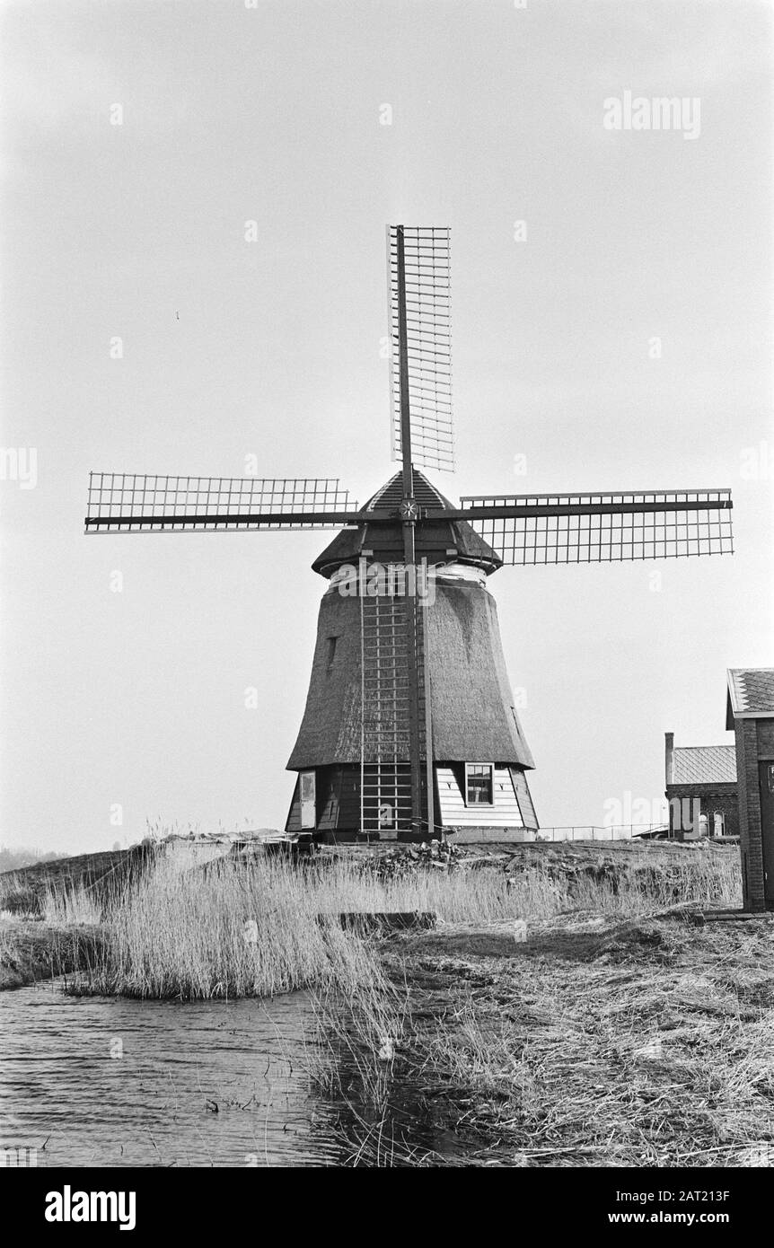 Watermolen De Grote Molen on the dike of the IJsselmeer Date: 4 February 1981 Location: Noord-Holland, Schellinkhout Keywords: mills, millwics, reed Stock Photo
