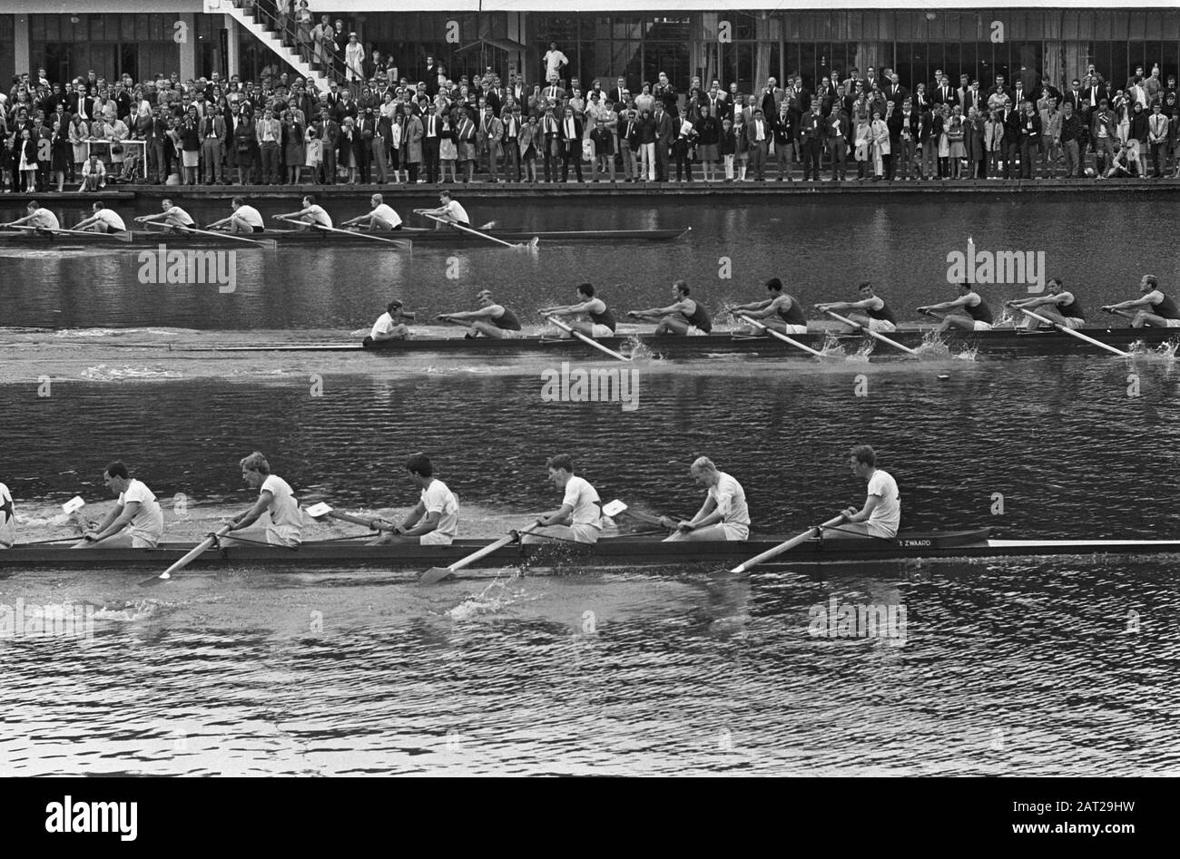Rowing on the Bosbaan Finish of the eight with mate. The boat of D.S.R.V. Laga goes first