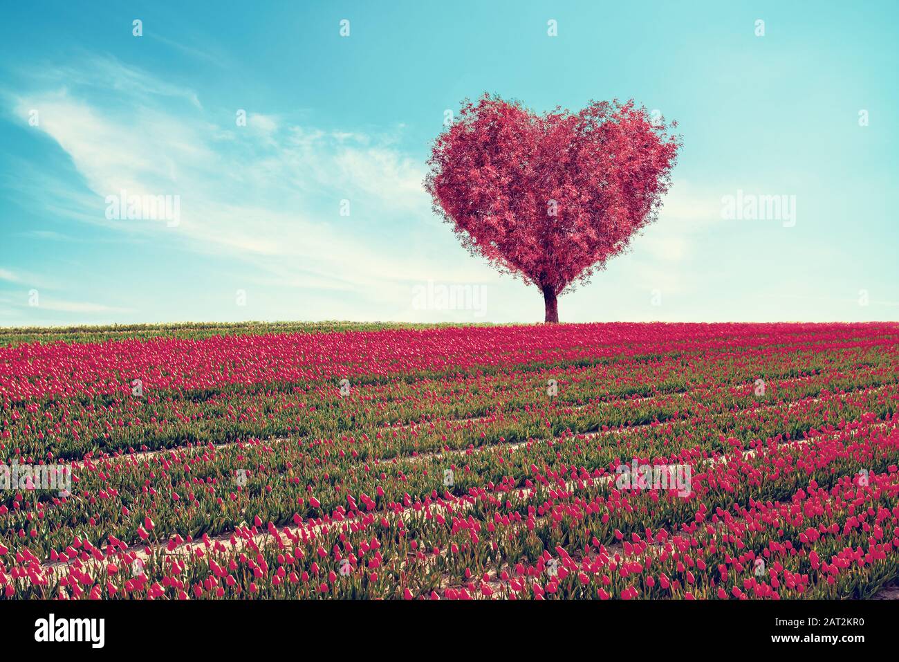 ingen miljø chokolade Abstract field with heart shape tree under blue sky. Beauty nature.  Valentine concept background Stock Photo - Alamy