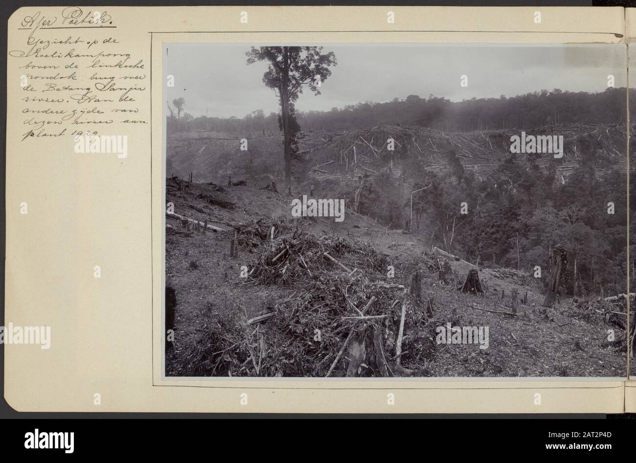 Photo album Deli Company: Enterprises Boekit Malintang/Aer Puetih  View of the kulikampong of the company Ajer Puetih with left the Batang Sangir river Annotation: Left part of a panoramic photo (824_48). Inscription: Ajer Putih. View of the Kelikampong above the left pondok bridge over the Batang Sangir river. On the other side of this river planting 1929 Date: 1931 Stock Photo