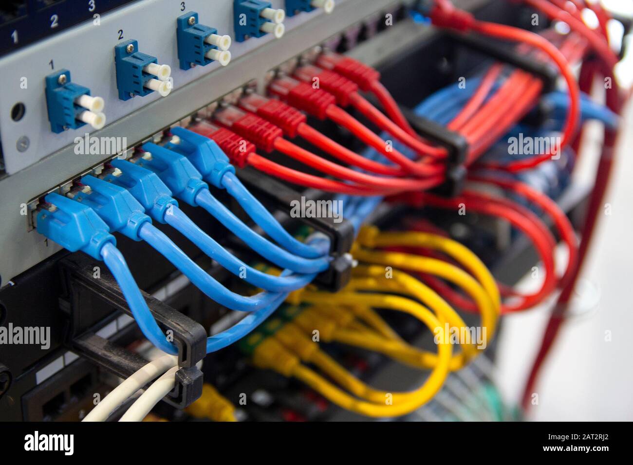Network switch and UTP ethernet cables. Electronics Stock Photo