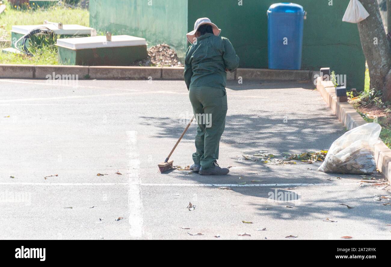 A close up view of a municipal worker sweeping the leaaves on the edge of a parking area Stock Photo