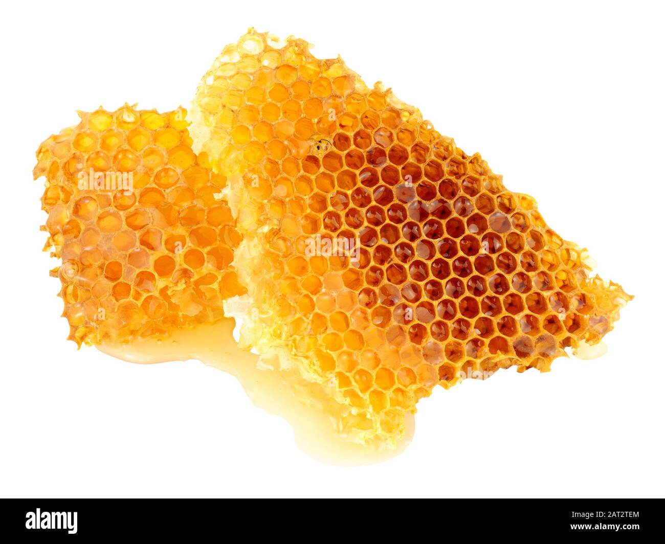 Honey bee wax honeycomb cells with honey isolated on a white