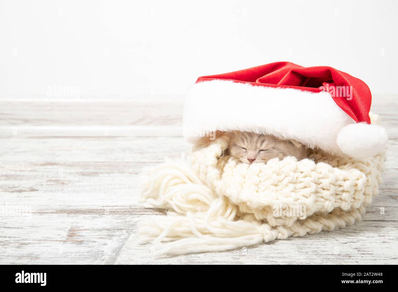 Little ginger kitten sleeps in a Christmas hat Stock Photo