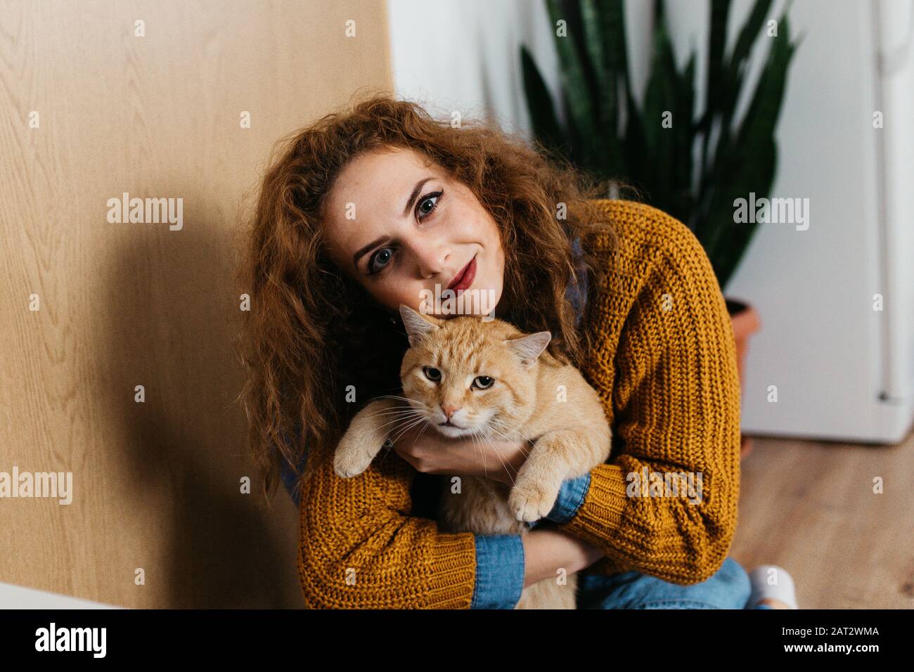 Portrait of beautiful woman with curly hair playing with yellow cat indoors, in house. Stock Photo