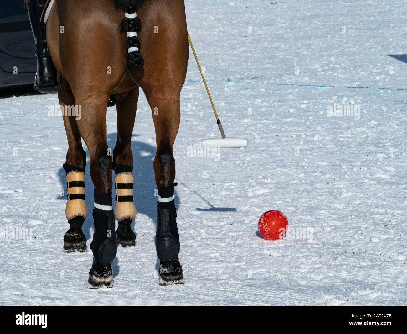 In game action of snow polo Stock Photo