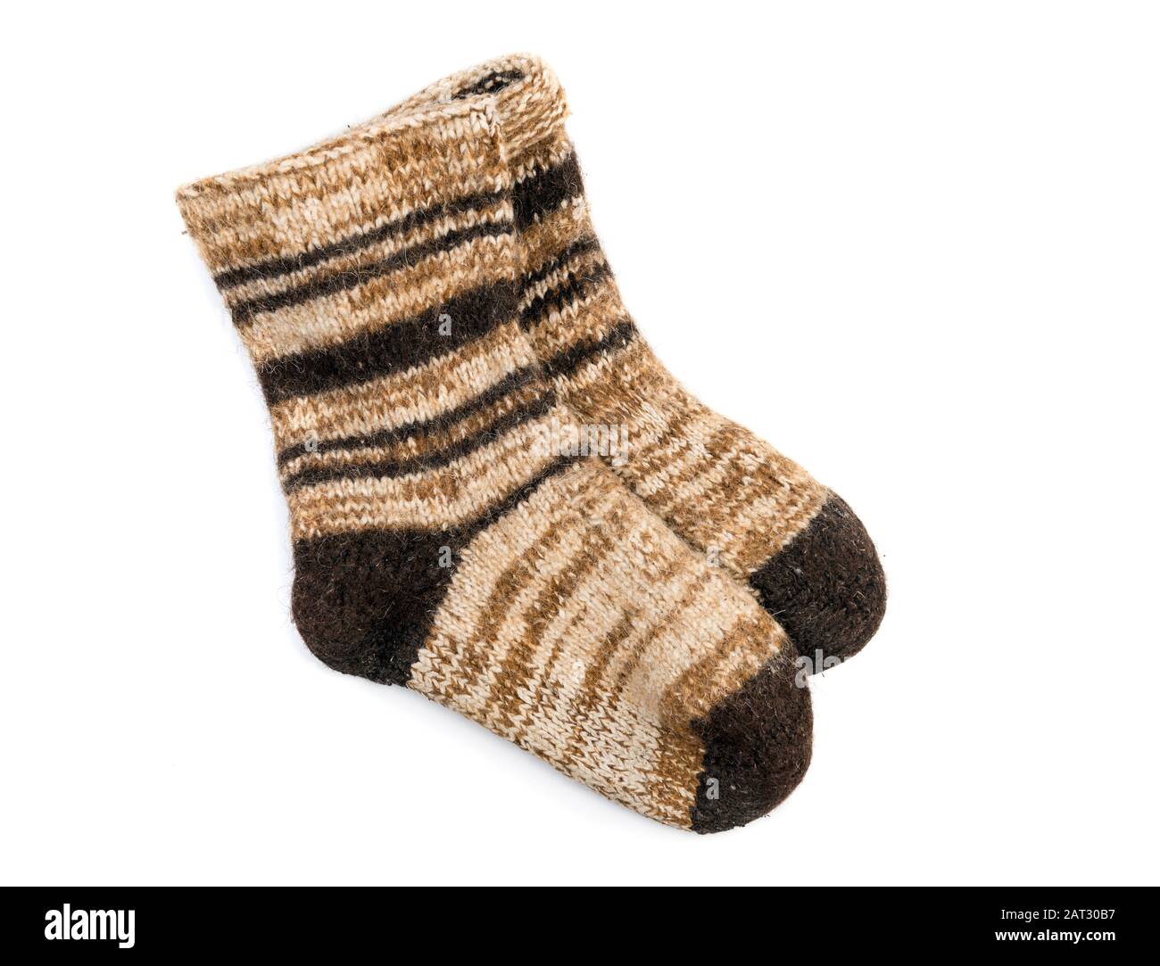 Very thick and warm hand-knitted dog wool socks Stock Photo