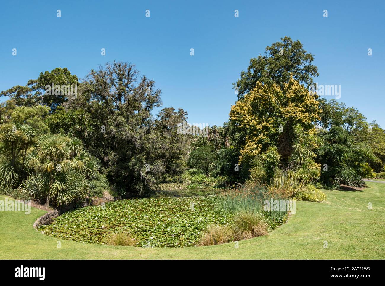 Lily pond royal botanic gardens hires stock photography and images Alamy