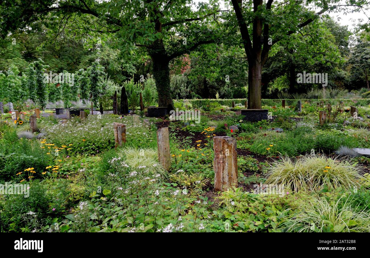 modern 'Bestattungsgarten' cemetery in cologne at Melaten Stock Photo