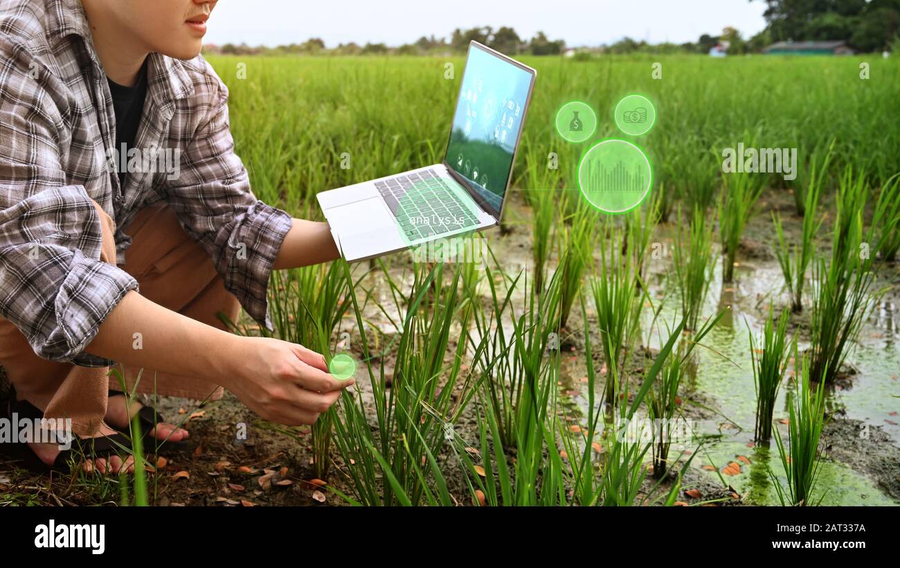 Agriculture technology attractive farmer navigating farmland with