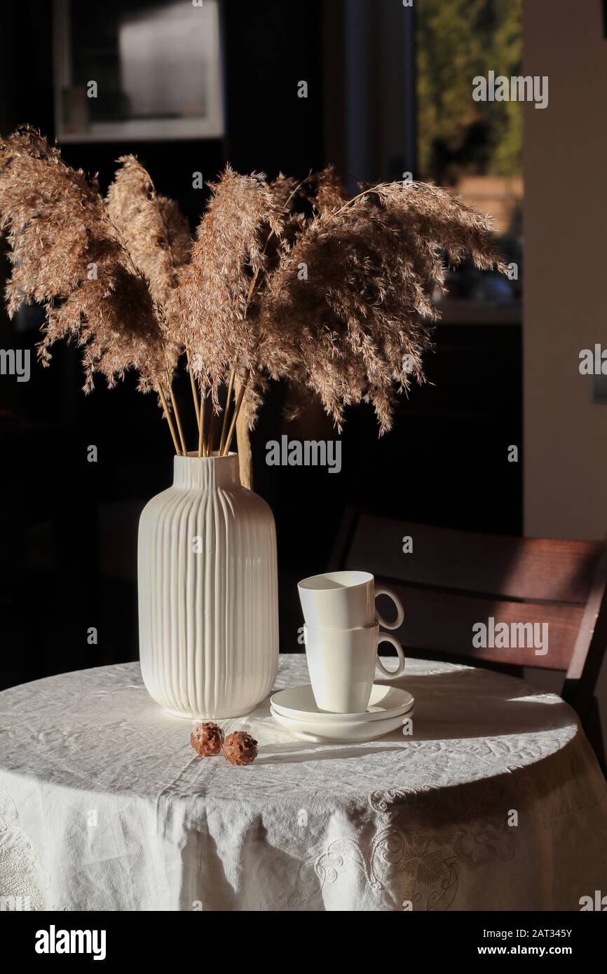 Coffee table and dried flowers in vase lighted with the harsh sun light Stock Photo