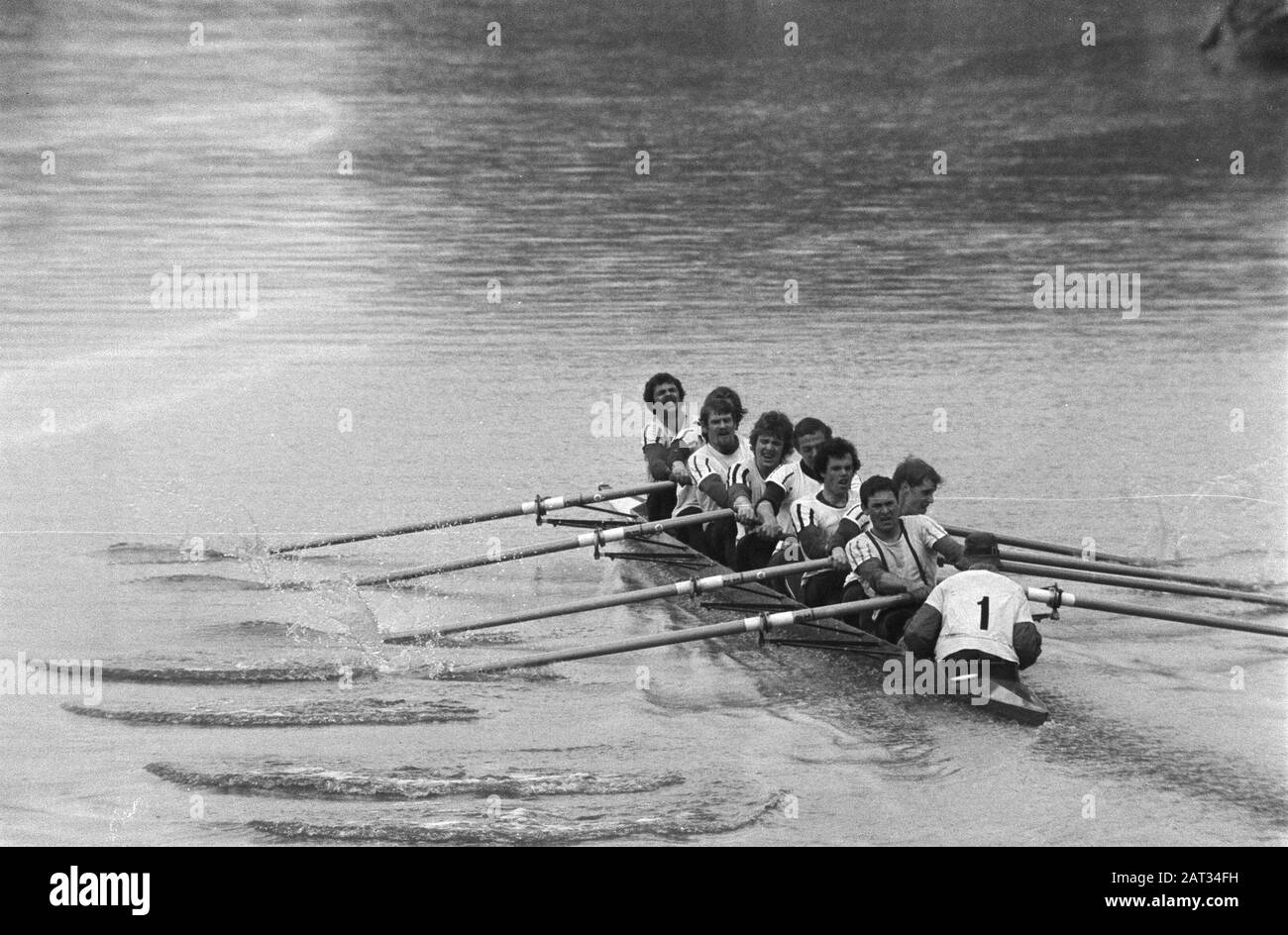 Winning team nereus hires stock photography and images Alamy