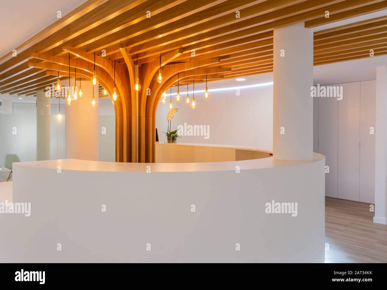 A Reception Of Modern Office With Lights And Wood On The Ceiling