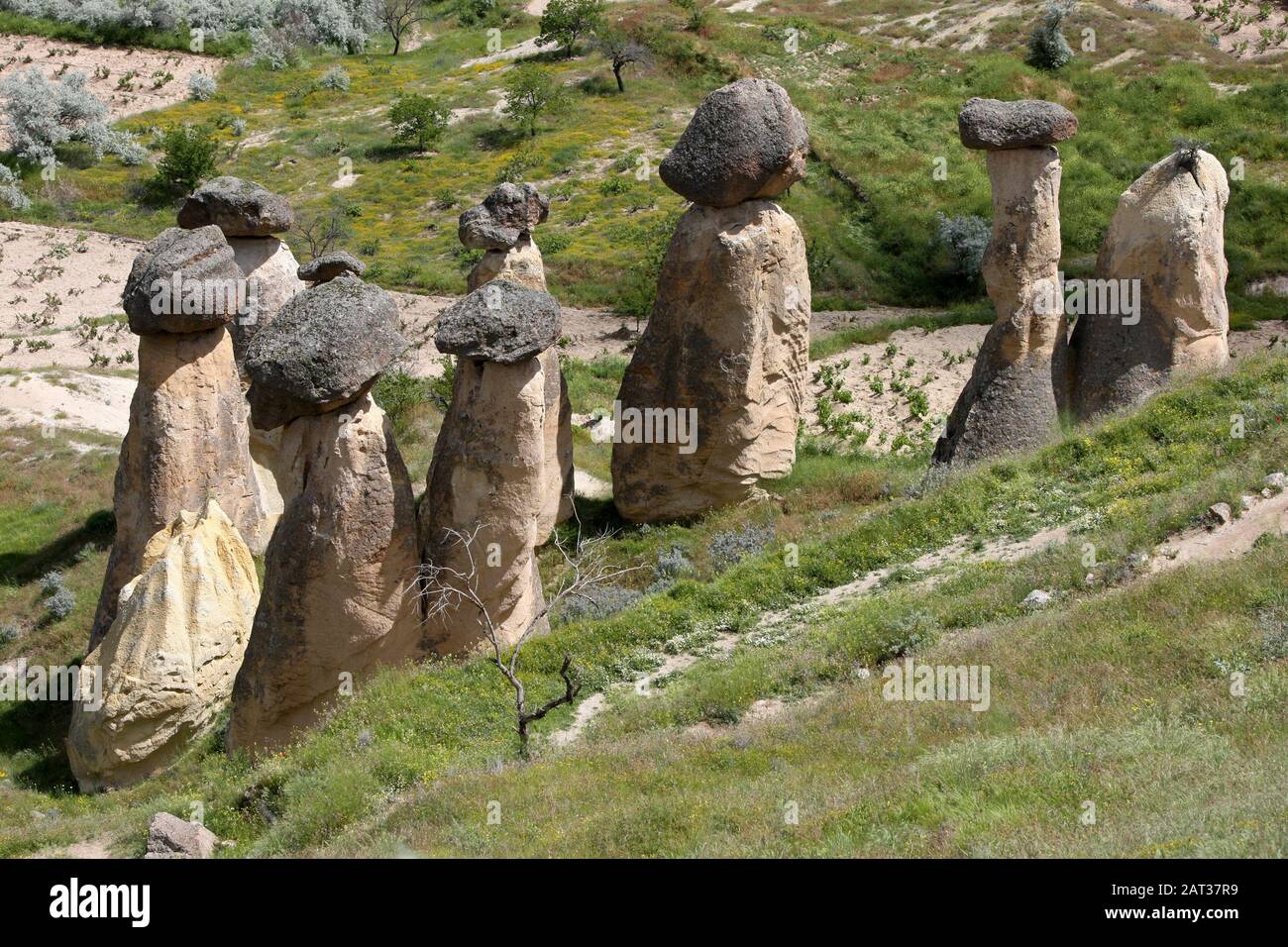 Group fairy chimneys in hi-res stock photography and images - Alamy