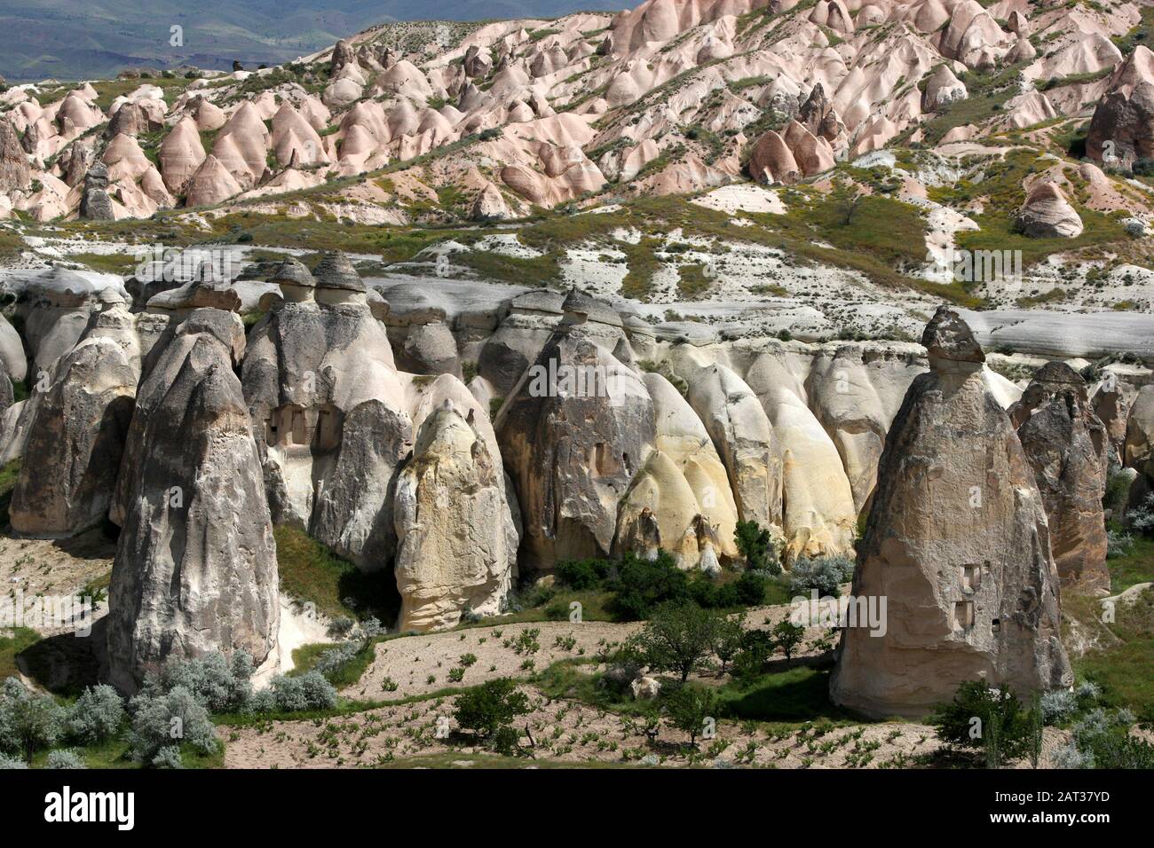The incredible landscape including volcanic rock formations known as fairy chimneys  looking towards Pasabagi  in the Cappadocia region of Turkey. Stock Photo