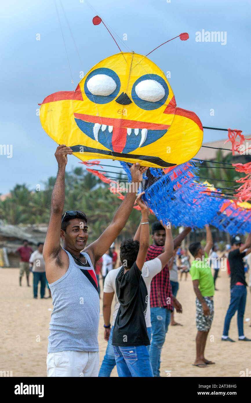 Kite Bee Stock Photos Kite Bee Stock Images Alamy