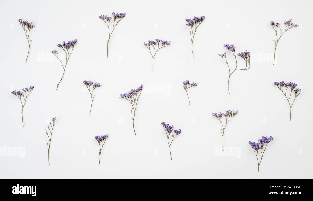 Dried Lavender Bundles - Wild Blossoms Studio