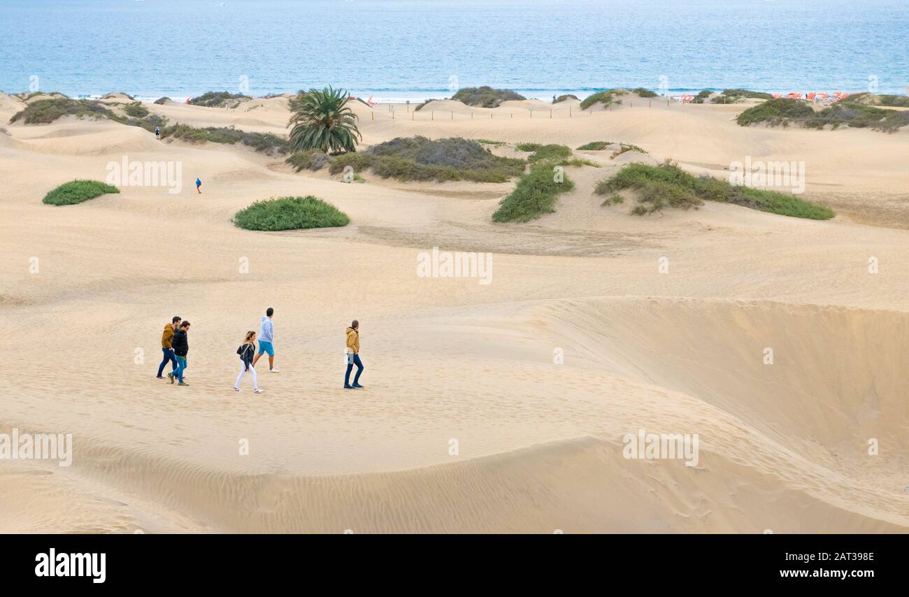 Maspalomas Sand Dunes. Stock Photo