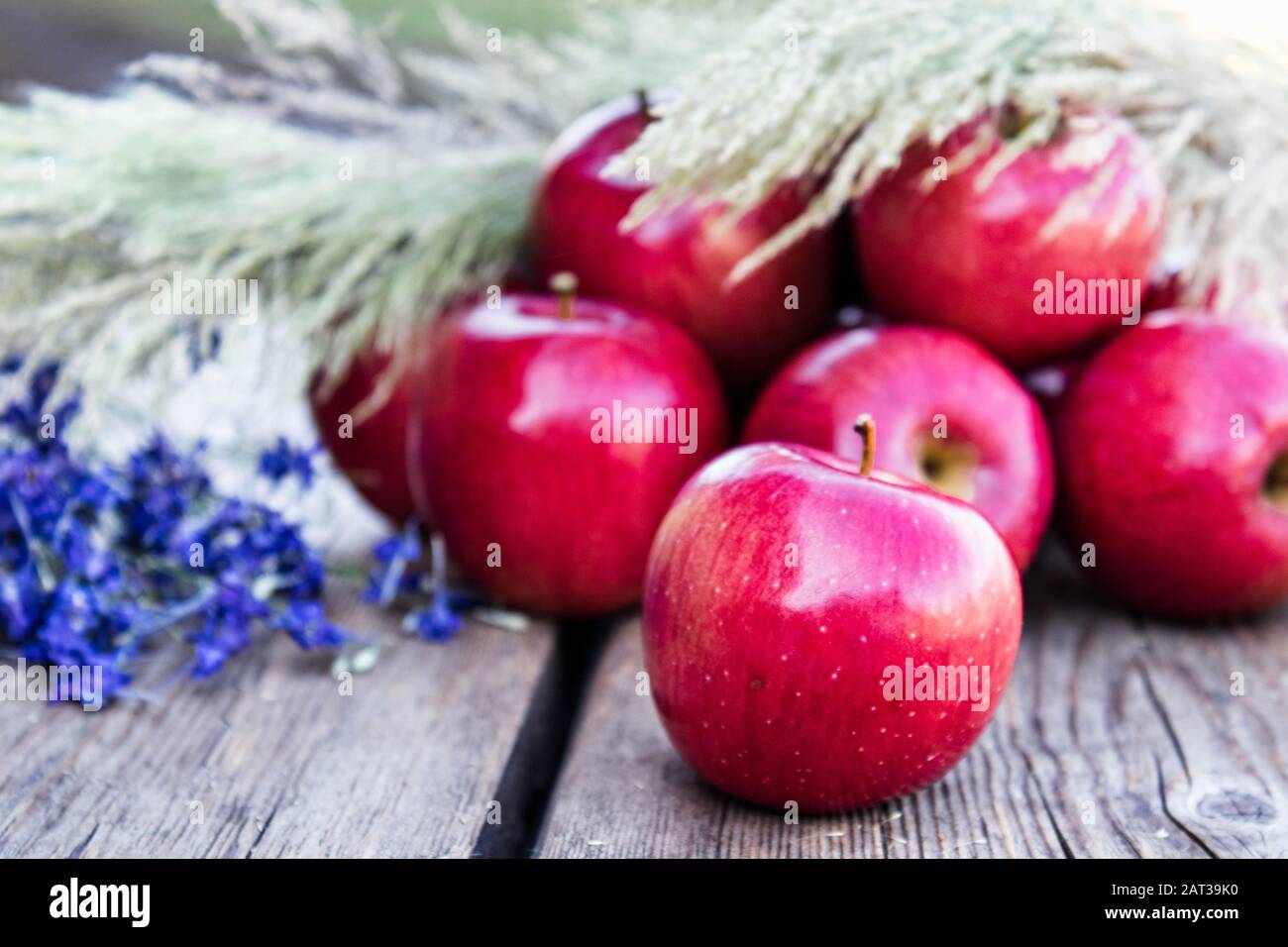 A lot of apples on a wooden table. Vitamins and a healthy diet. Vegetarian concept. Closeup