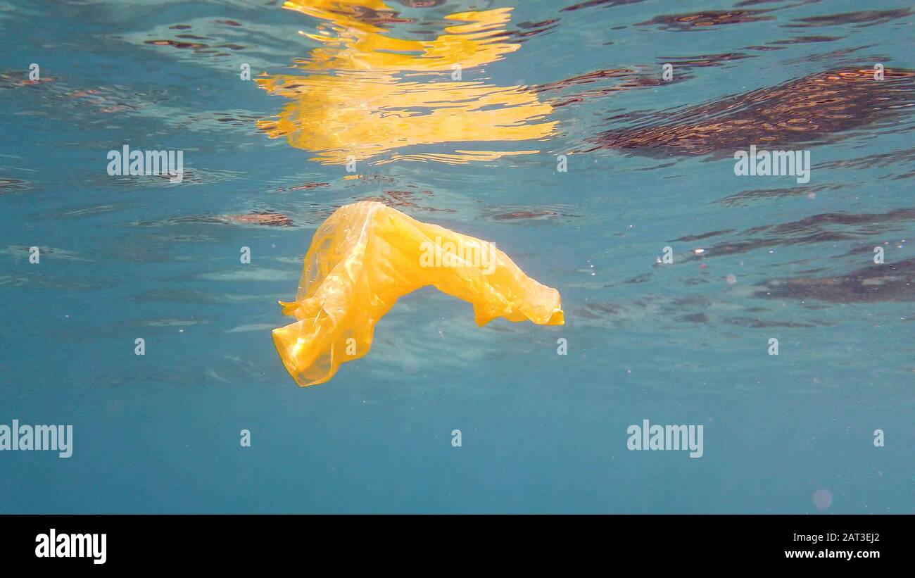 Plastic bag floating in clear water in the sea. Ecological problem