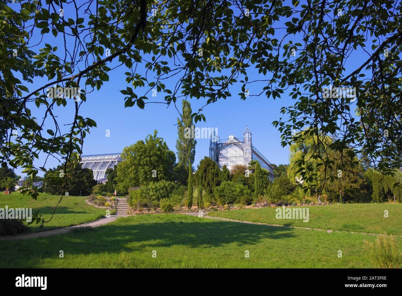 Berlin, Berlin state / Germany - 2018/07/31: Berlin Dahlem Botanical Garden and Museum - Botanischer Garten - with historic greenhouse pavilions Stock Photo