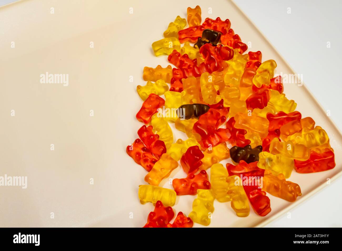 jelly bean teddy