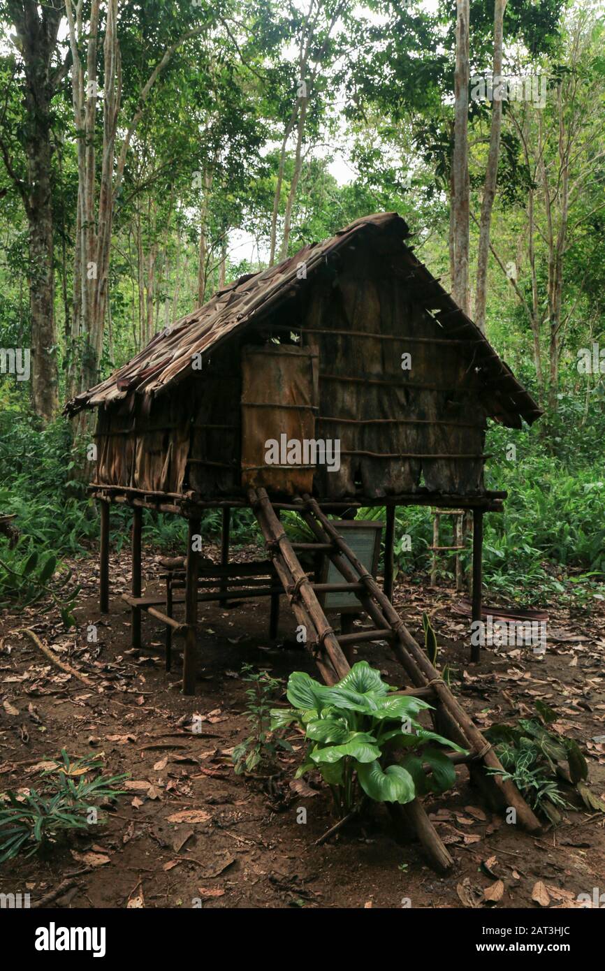 Alfred Russel Wallace shelter in the dense jungle of Raja Ampat, West Papua province, Indonesia Stock Photo