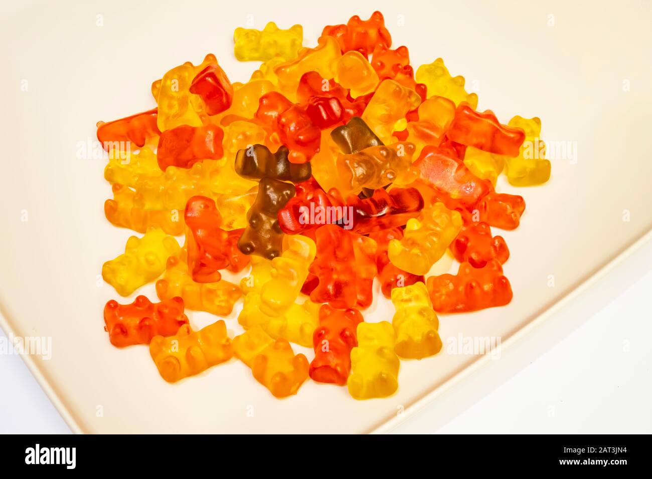 jelly bean teddy