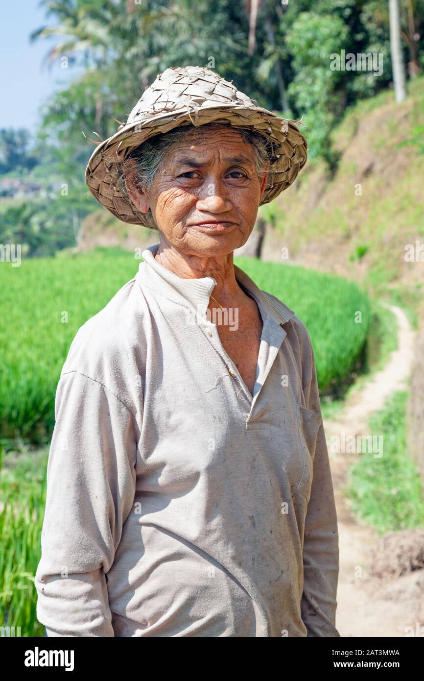 Indonesia, Bali, Tegalalang Rice Terraces, Woman working in the fields Stock Photo