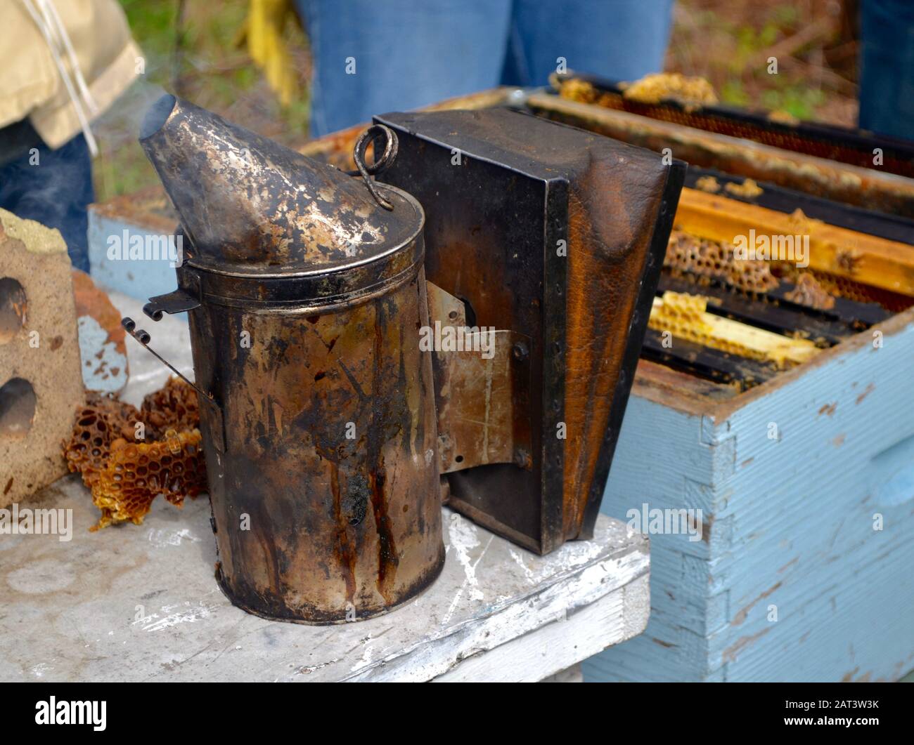 Close-up of an old beehive smoker being used to keep honey bees calm during a hive inspection. Stock Photo