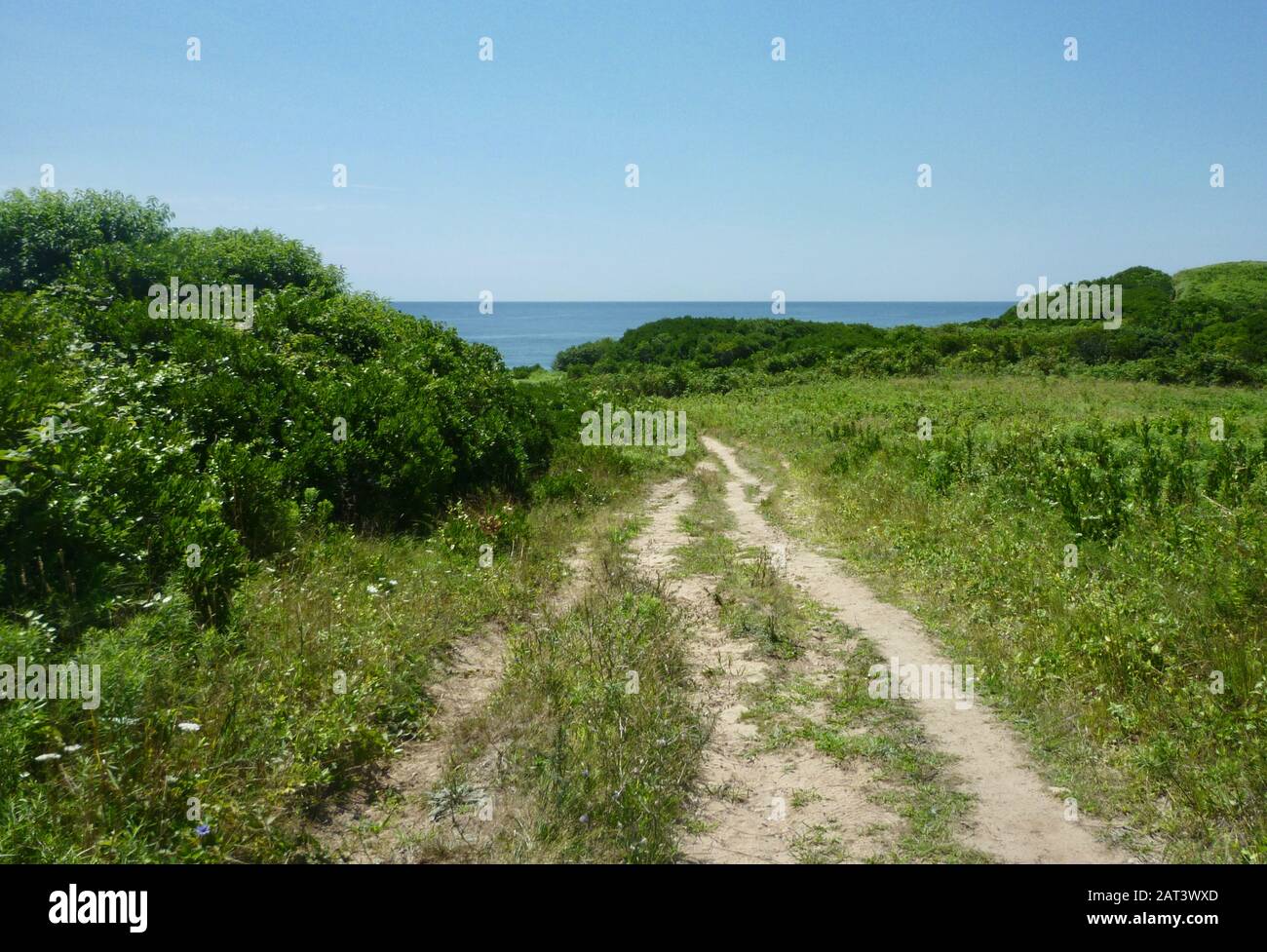 A walking path on Block Island winds through summer fields and shrubs on the way to the ocean seen in the distance. Stock Photo