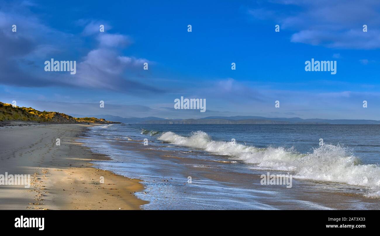 FINDHORN BEACH MORAY SCOTLAND GOLDEN SANDY BEACH BLUE SKY SEA AND WAVES THE BLACK ISLE IN THE DISTANCE Stock Photo