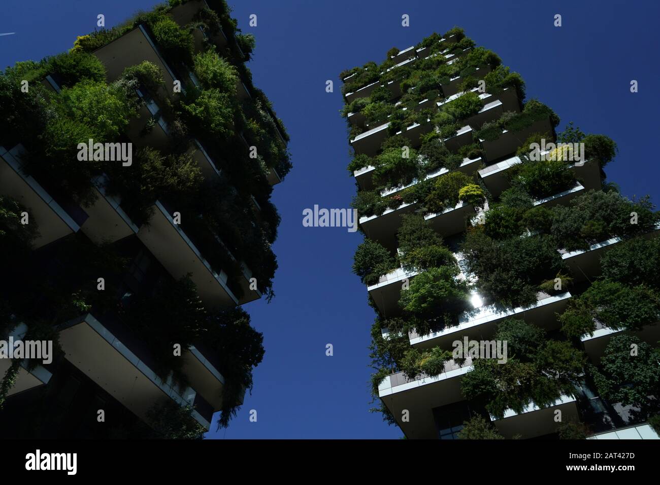 Bosco Verticale, Vertical Forest is a pair of residential towers designed by Boeri Studio in the Porta Nuova district, Bosco Verticale won the Interna Stock Photo