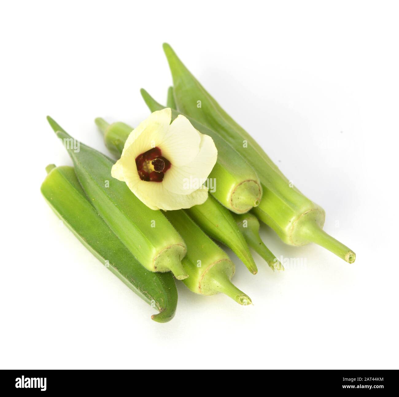 A group of Okra and its flower on white Stock Photo Alamy