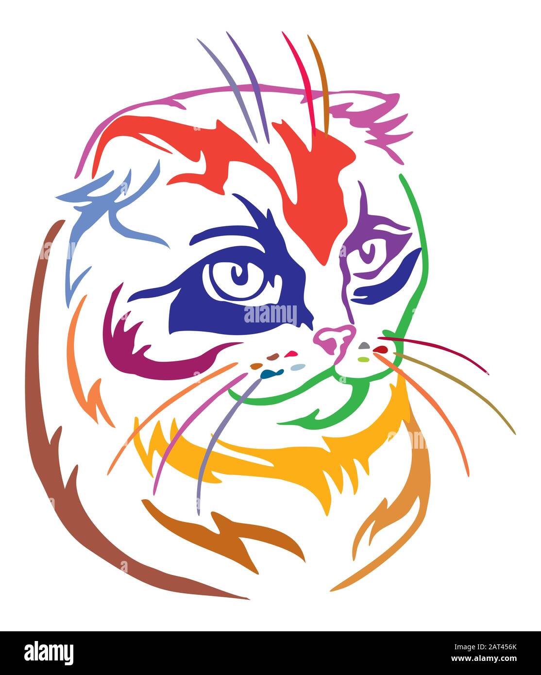 Colorful decorative portrait of scottish fold cat, contour vector illustration in different colors isolated on white background. Image for design and Stock Vector