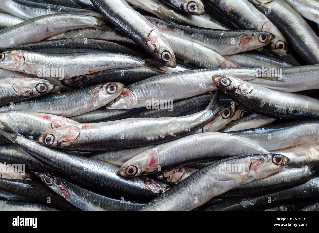 Anchovy fish hi-res stock photography and images - Alamy