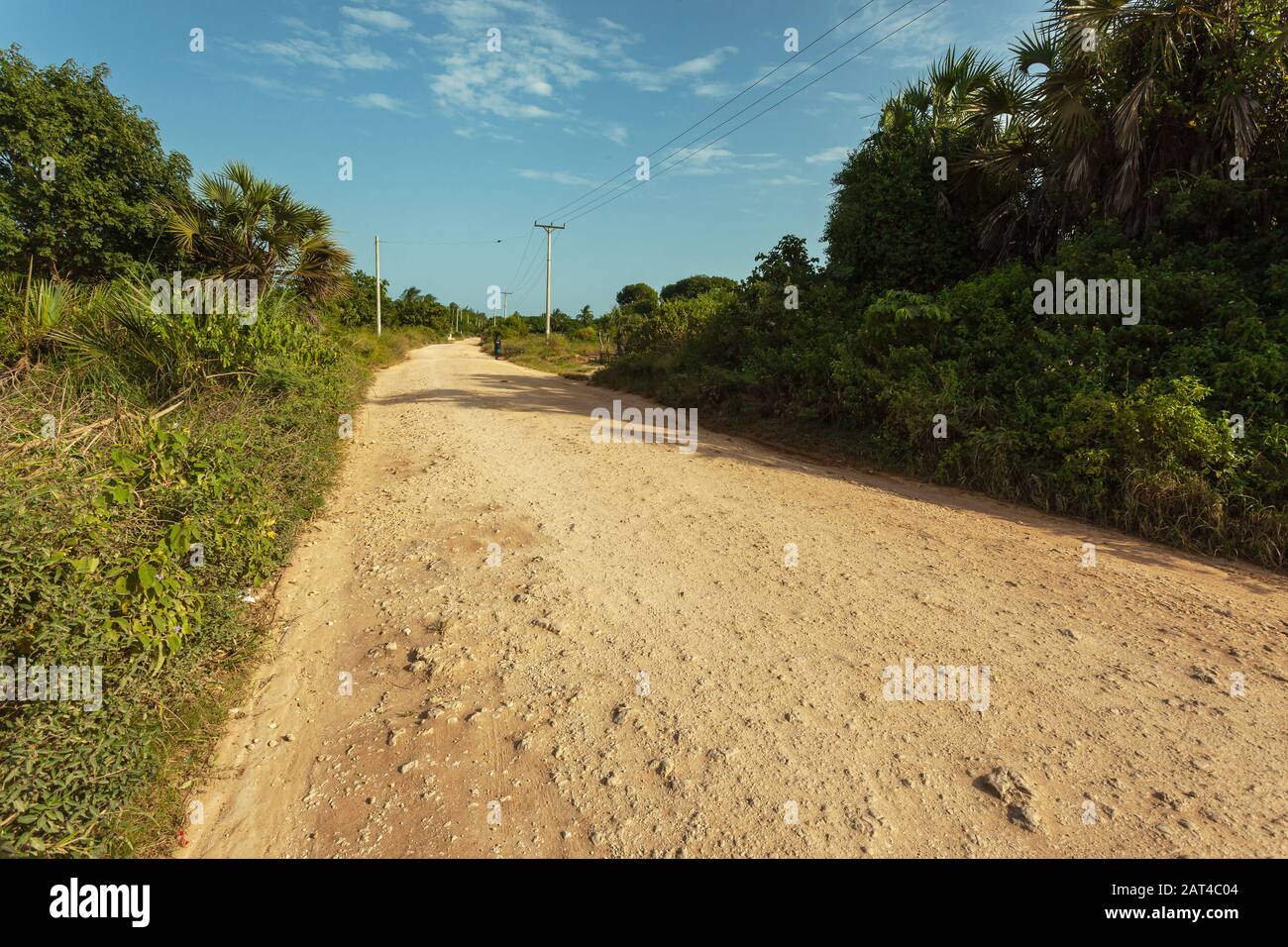 A dry road in rural Kenya with green plants by the road, no people Stock Photo