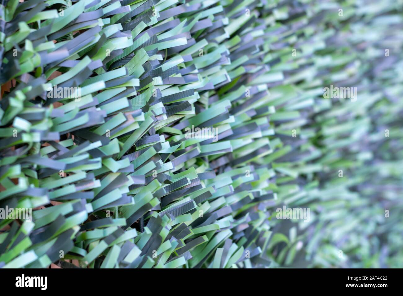 Artificial hedge. Green texture. Selective focus. Background. Stock Photo
