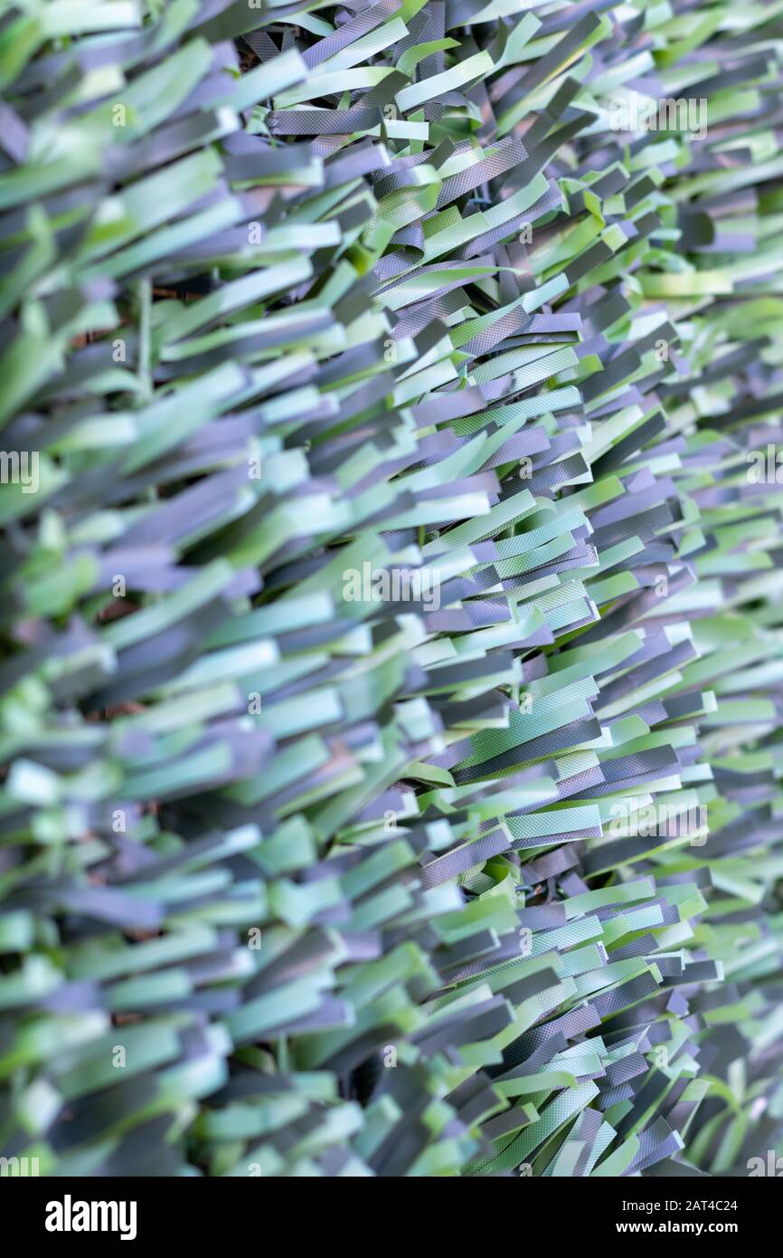 Artificial hedge. Green texture. Selective focus. Background. Stock Photo
