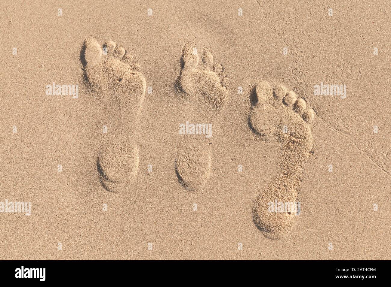 Three footprints of real family members are in wet coastal sand on the beach Stock Photo