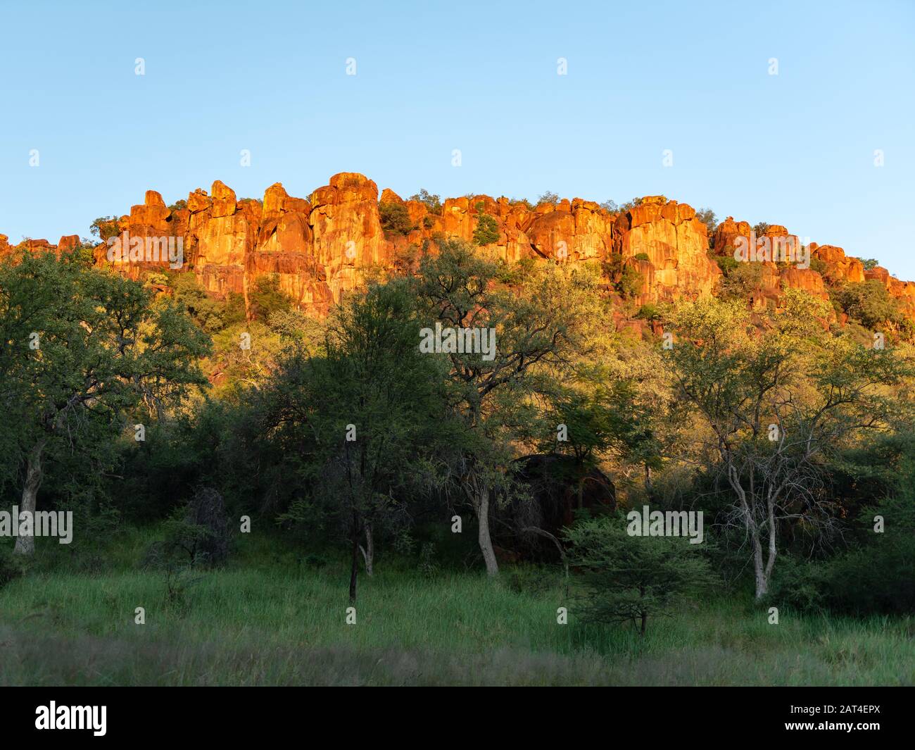 Afterglow in Namibia, after the rain the nature is green Stock Photo