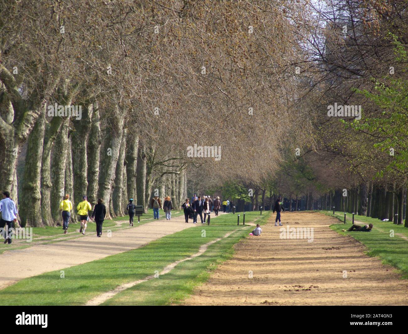 Horse riding track where Major James Hewitt taught HRH Princess Diana to horse ride, Hyde Park, London, England 2009. Hewitt had a love affair with HR Stock Photo