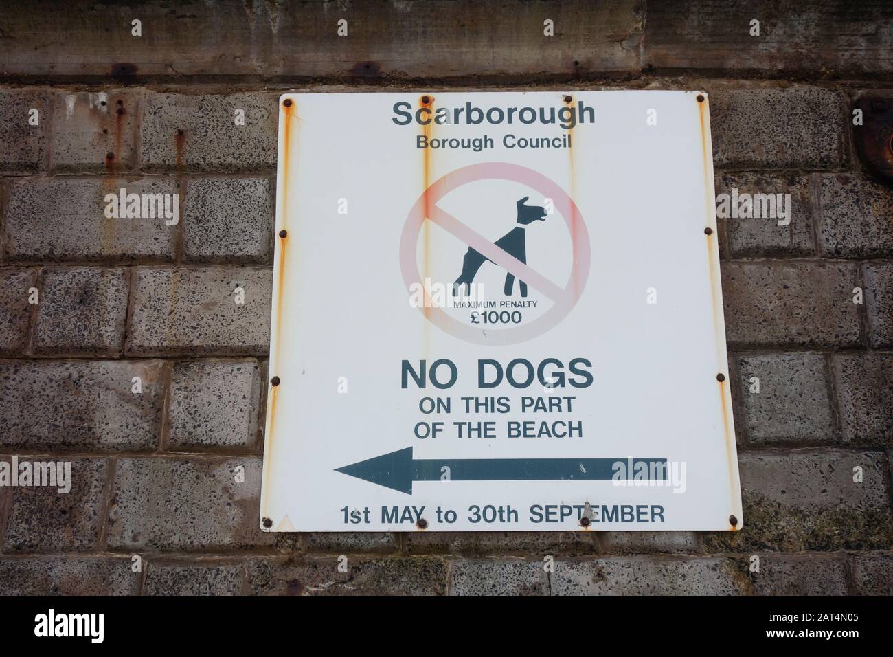 Filey sea defenses wall, no dogs sign, North Yorkshire. Stock Photo