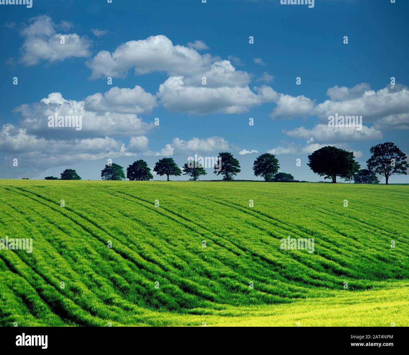 summertime-in-britain-hi-res-stock-photography-and-images-alamy
