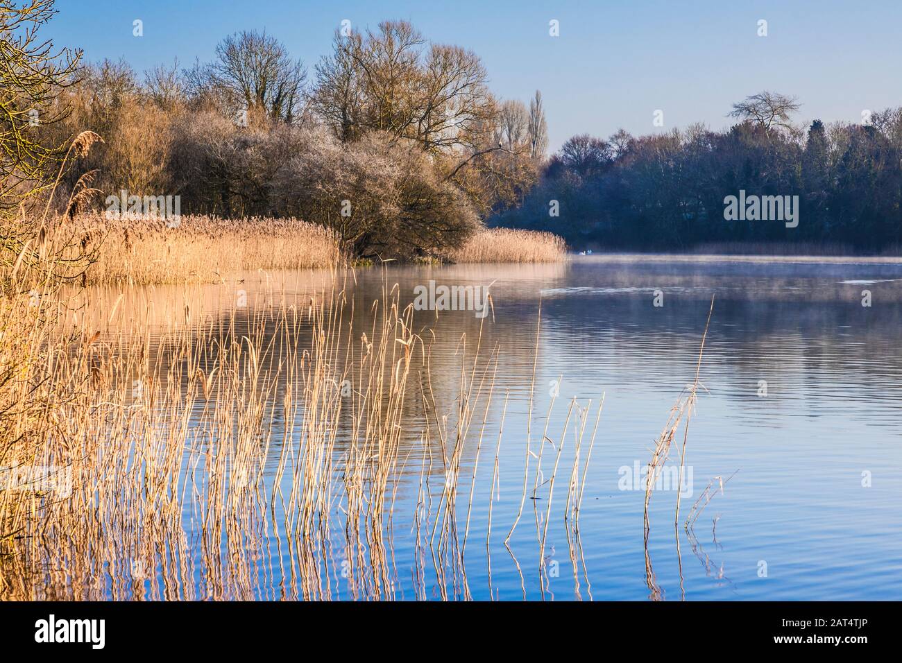 A cold, winter sunrise over Coate Water in Swindon. Stock Photo